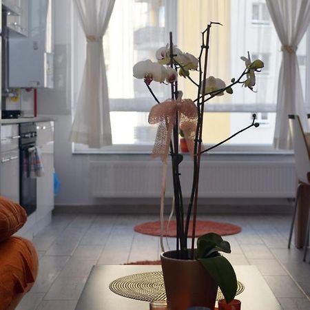 Aki Studio Apartment Brașov Exterior foto