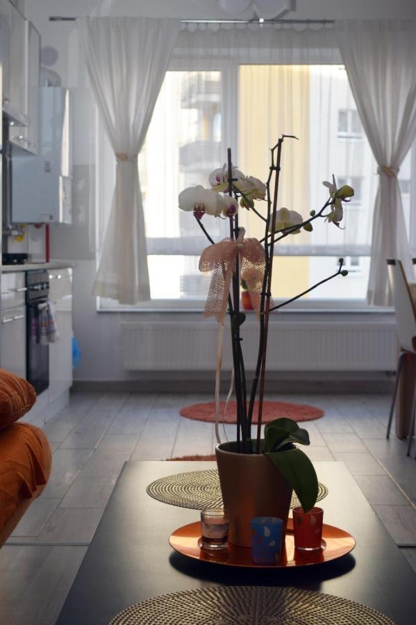 Aki Studio Apartment Brașov Exterior foto